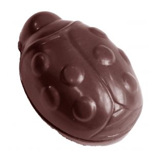 Chocolate Mould Ladybug